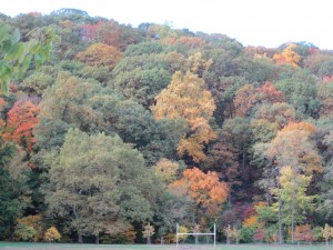 IMG_1804