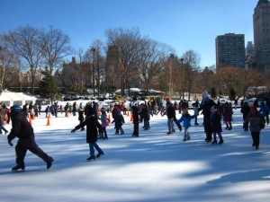 iceskate3
