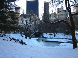 iceskate6