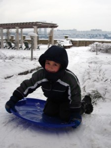 sled1