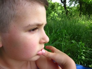 IMG_8184