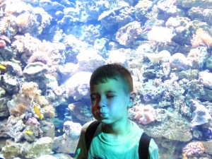 IMG_8647