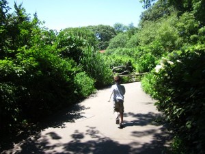 IMG_9652