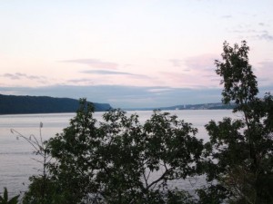 IMG_3029